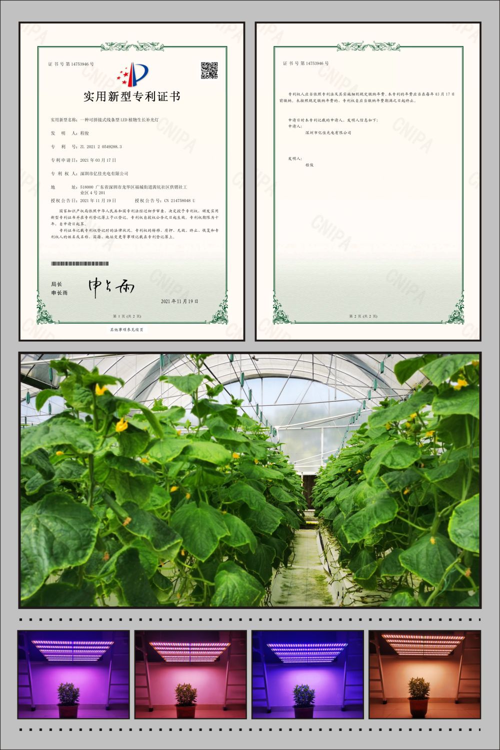 海博论坛植物农场灯实用新型专利