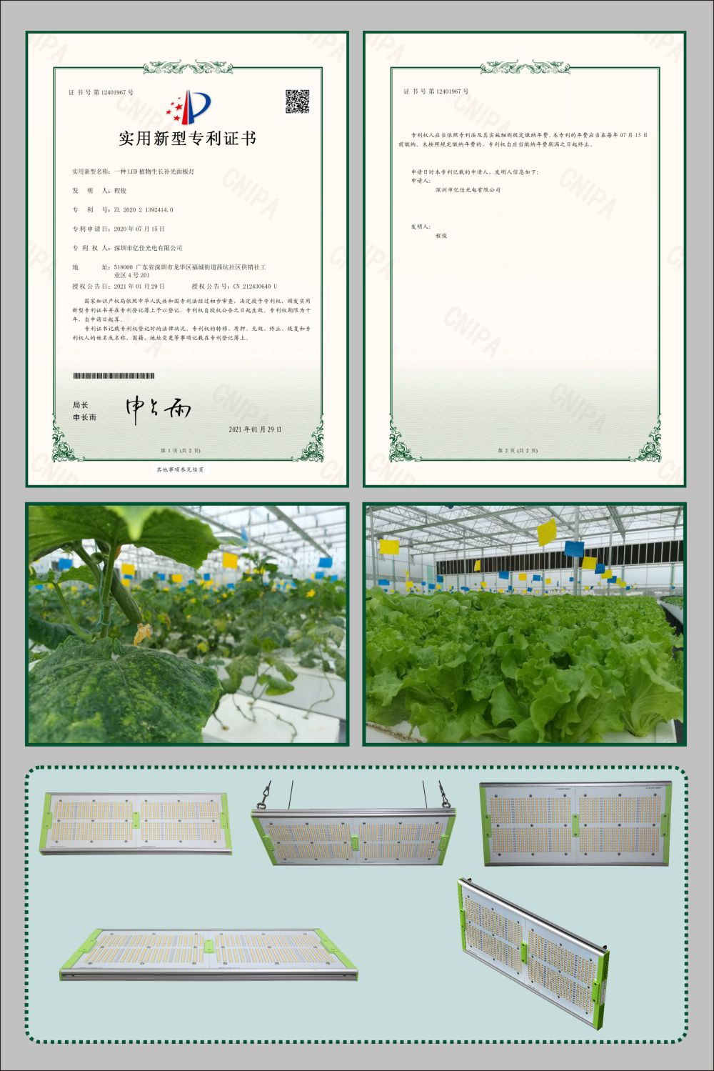 海博论坛植物生长面板灯实用新型专利